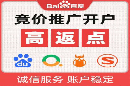 百度搜索引擎优化推广：成功案例揭秘